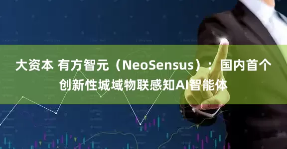 大资本 有方智元（NeoSensus）：国内首个创新性城域物联感知AI智能体