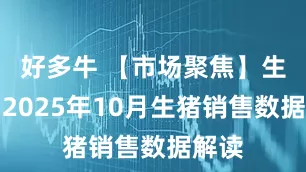 好多牛 【市场聚焦】生猪：2025年10月生猪销售数据解读